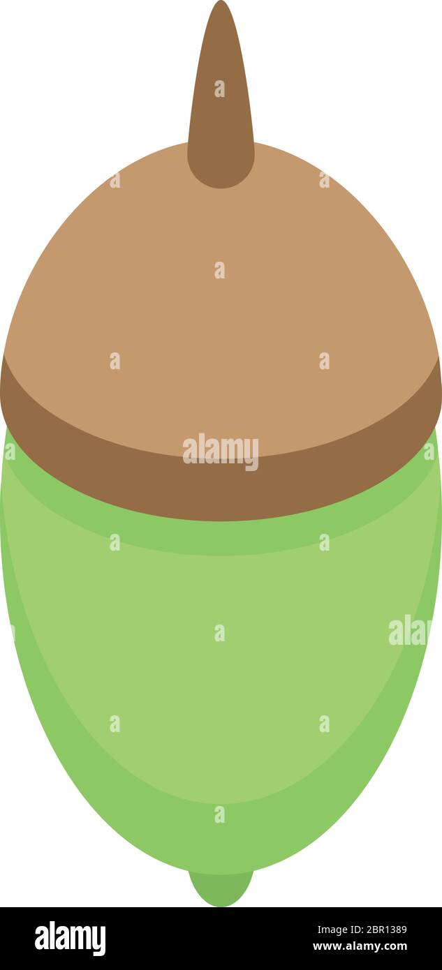 Green acorn icon, isometric style Stock Vector