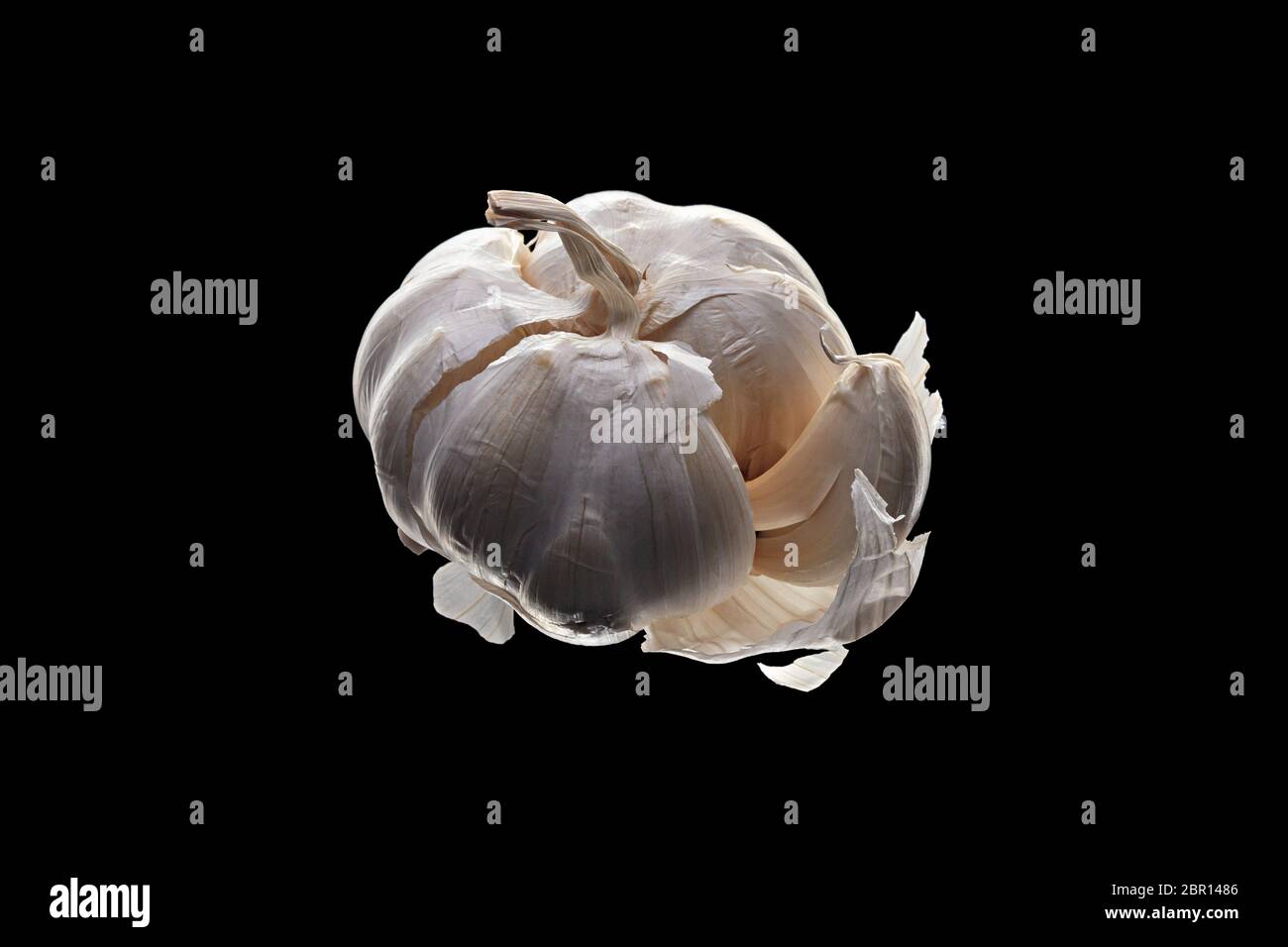 Whole fresh garlic on pure black background Stock Photo - Alamy