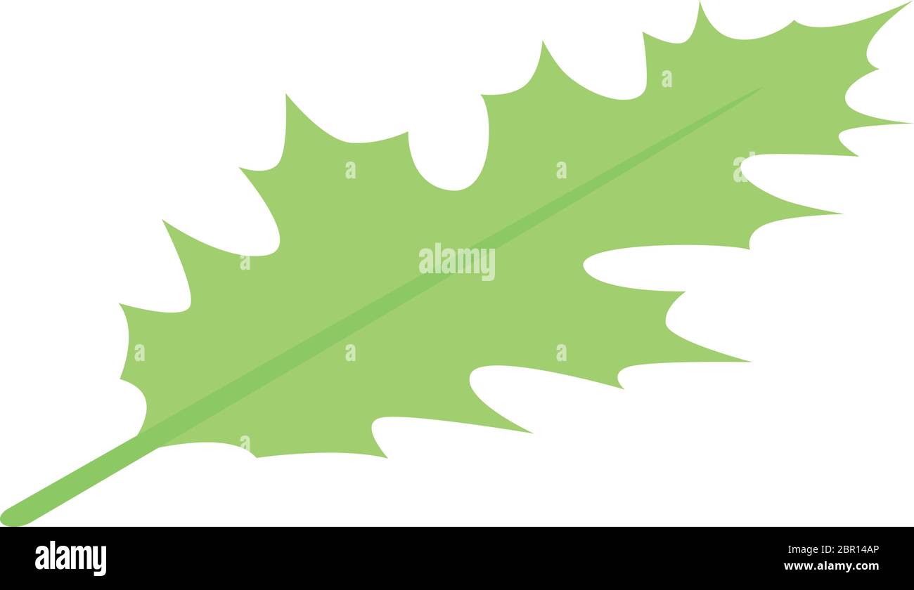 Leaf oak icon, isometric style Stock Vector