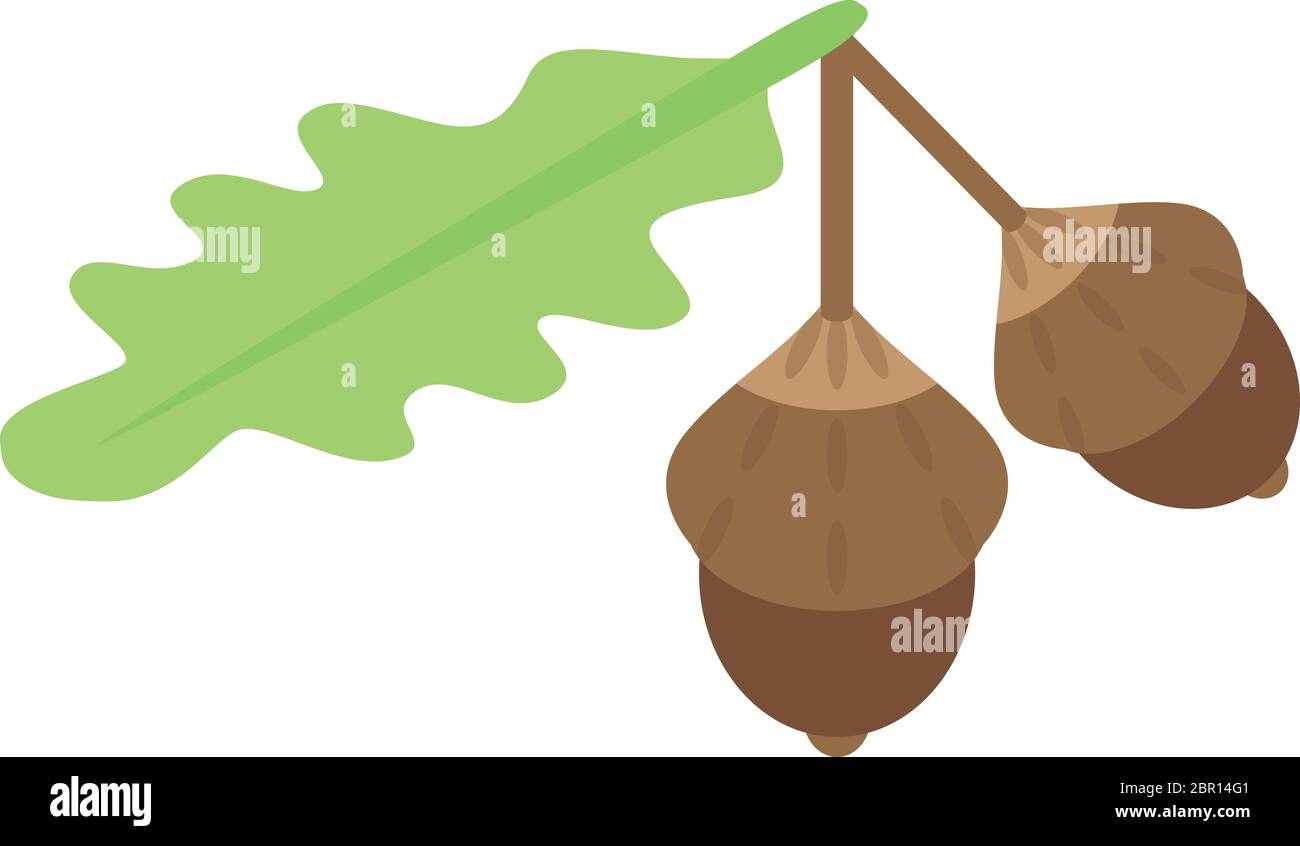 Leaf acorn icon, isometric style Stock Vector