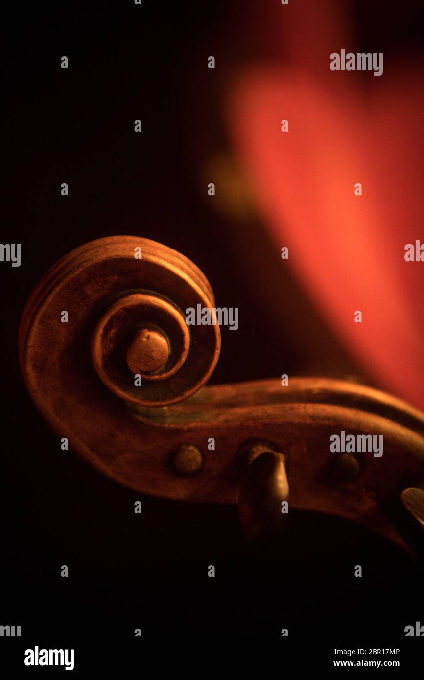 Close up shot of a double bass scroll and tuning pegs Stock Photo Alamy