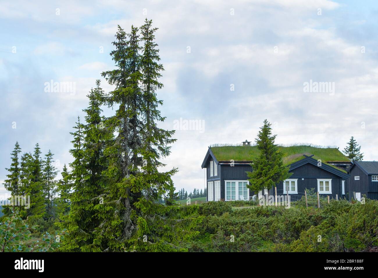 Grass roof country house hi-res stock photography and images - Alamy, image size:1300x956