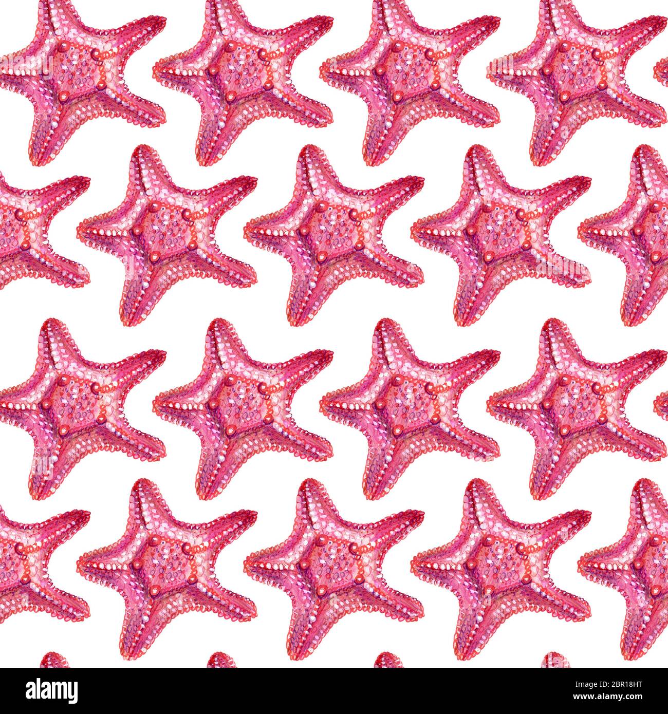 Seamless pattern with starfish. Starfish is drawn by hand with colored ...