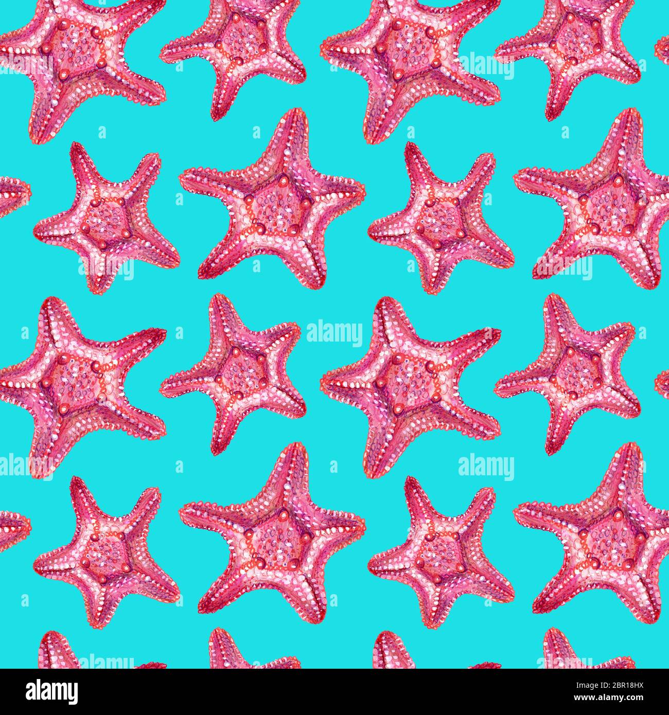 Seamless pattern with starfish. Starfish is drawn by hand with colored ...