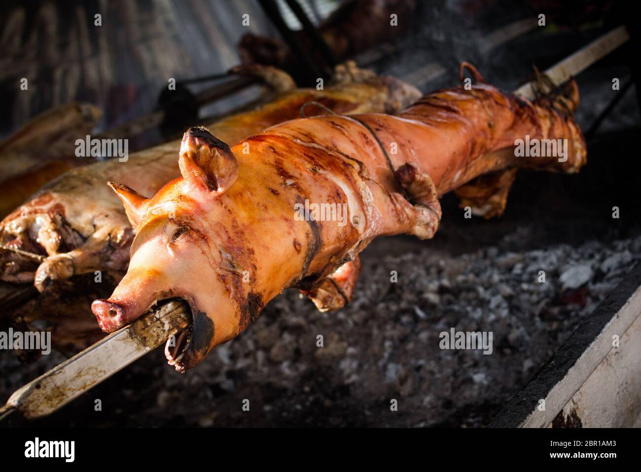 The young pig is roasting on spit, pork, meat, food. Stock Photo