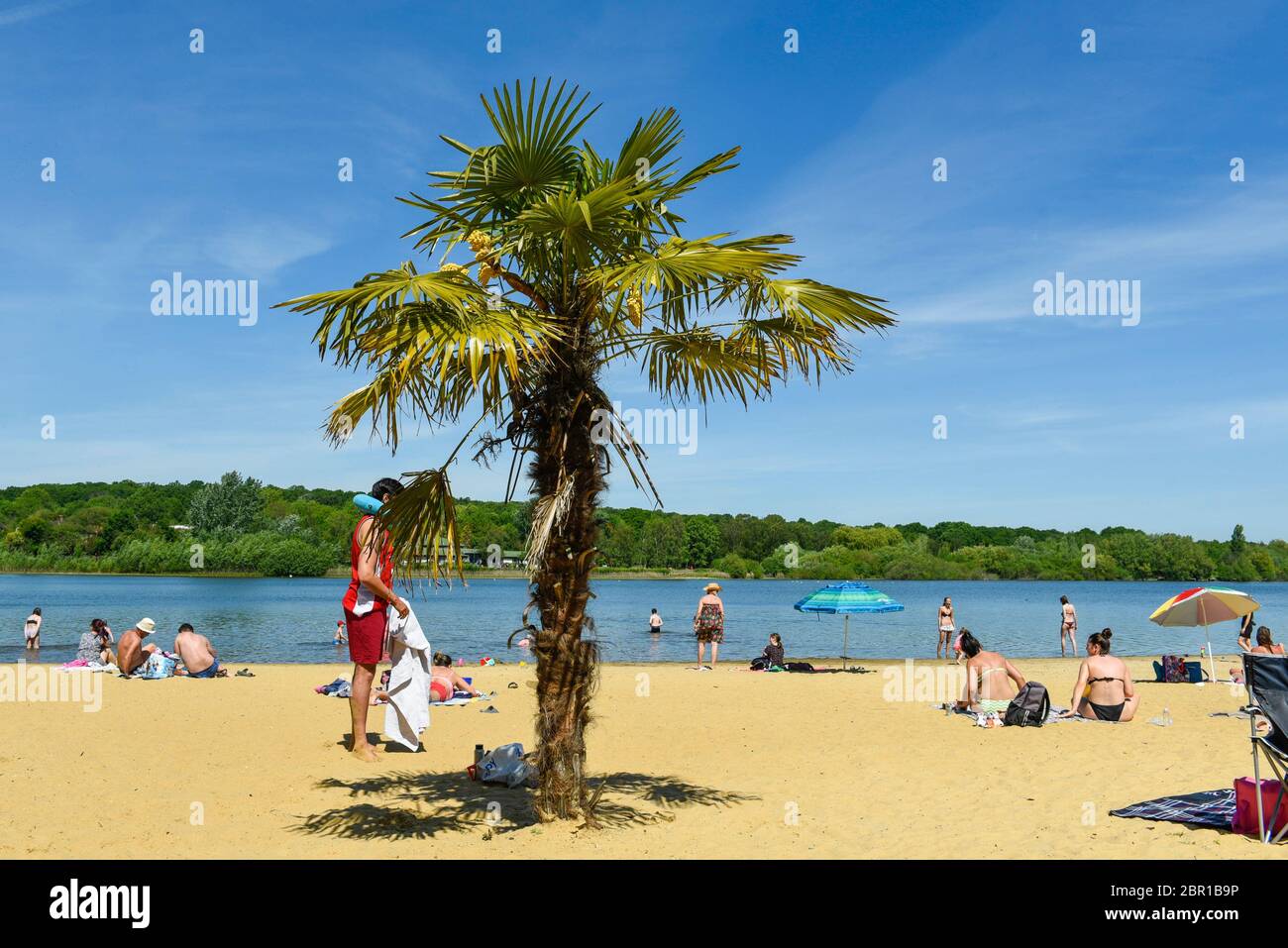 London, UK.  20 May 2020.  UK Weather - A palm tree on the beach gives a tropical feel as people take advantage of the easing of certain coronavirus pandemic lockdown restrictions to enjoy the sunshine and warm weather at Ruislip Lido in north west London.   The forecast is for temperatures to rise to 29C, the hottest day of the year so far.  Credit: Stephen Chung / Alamy Live News Stock Photo