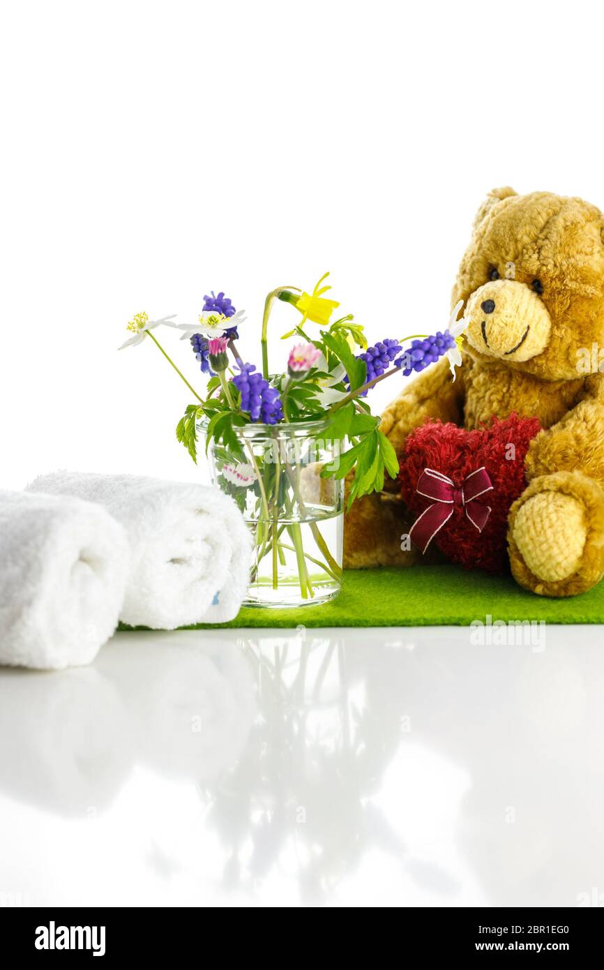 Blüten, Frühling. Stock Photo