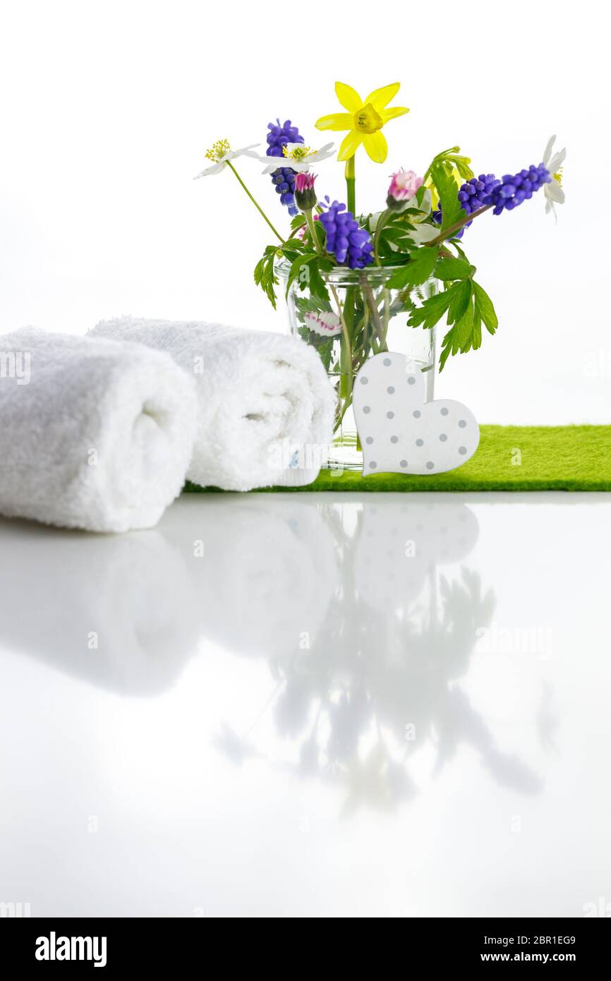 Blüten, Frühling. Stock Photo