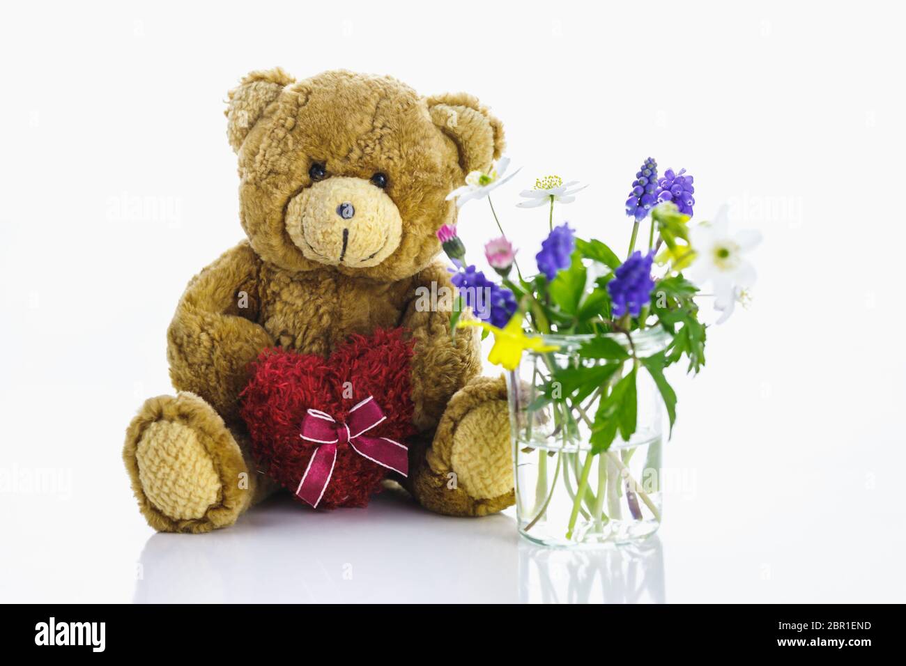 Blüten, Frühling. Stock Photo