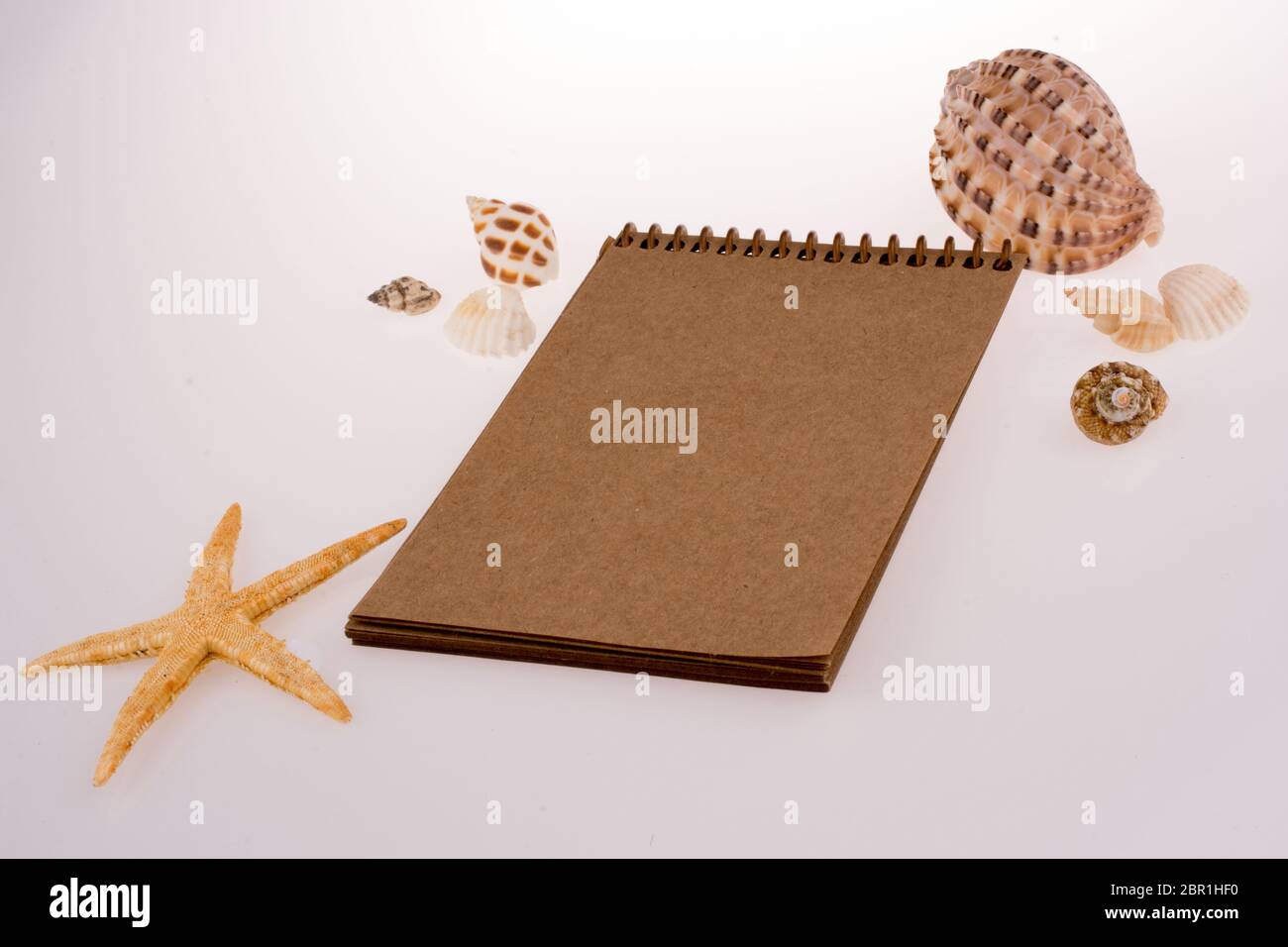 Little brown spiral notebook with  seashells  around on a white background Stock Photo
