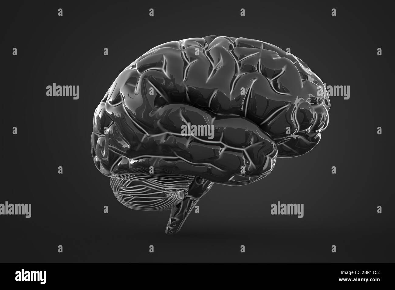 3d illustration of human brain over dark background with soft shadow