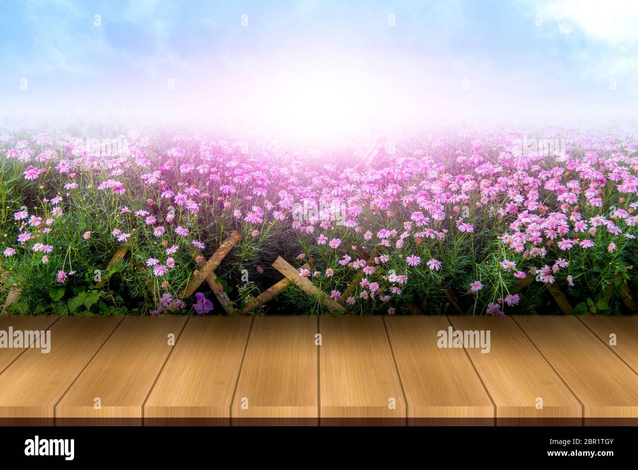 (Background) Beautiful and foggy flowers in beautiful abstract patterns