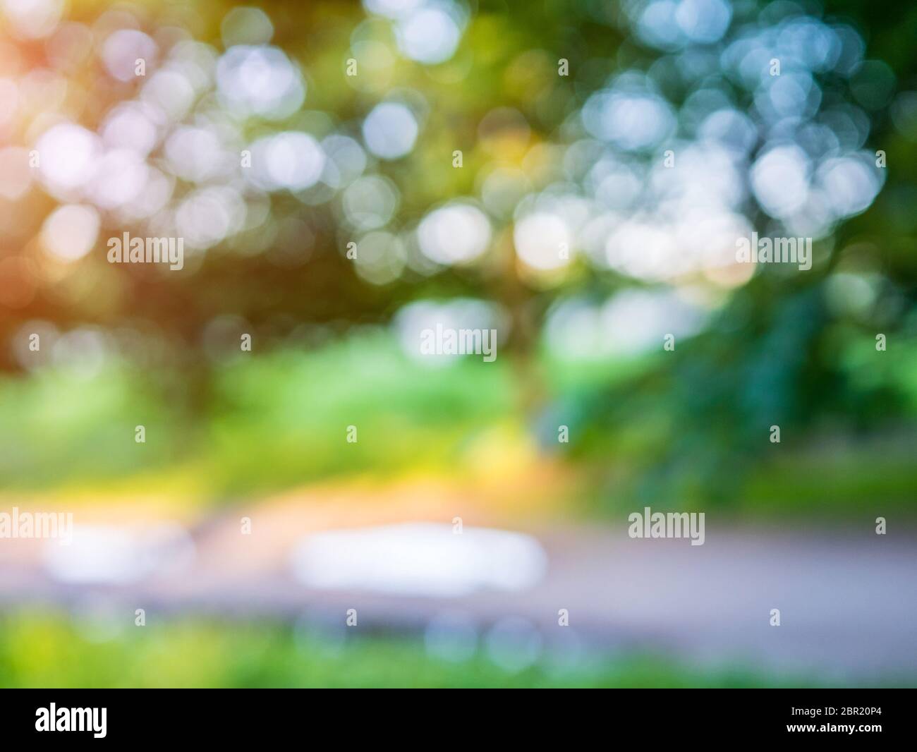 Macro background green park. Blur bokeh nature Stock Photo - Alamy