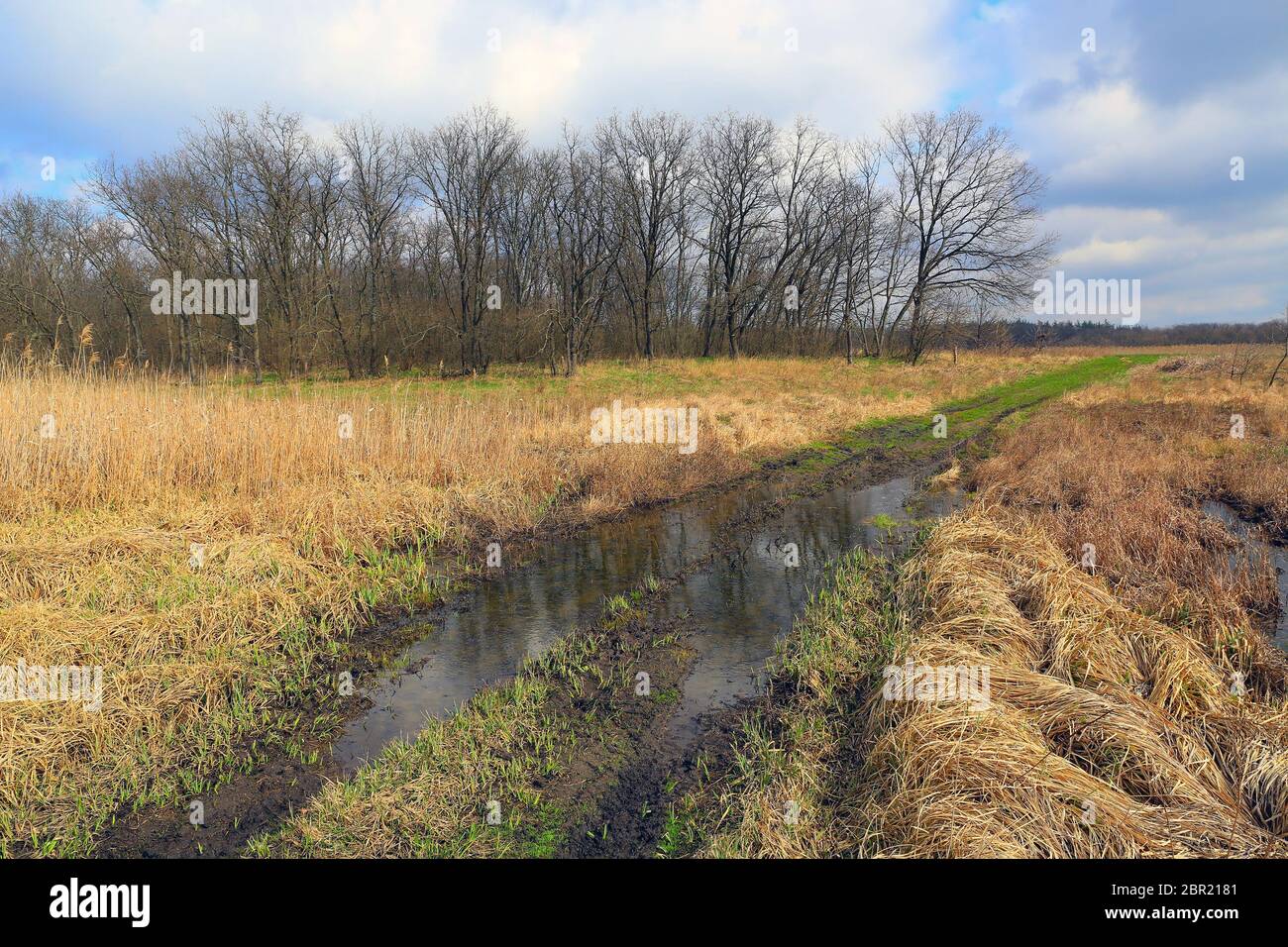 Spring andscape with rut road on meadow Stock Photo - Alamy