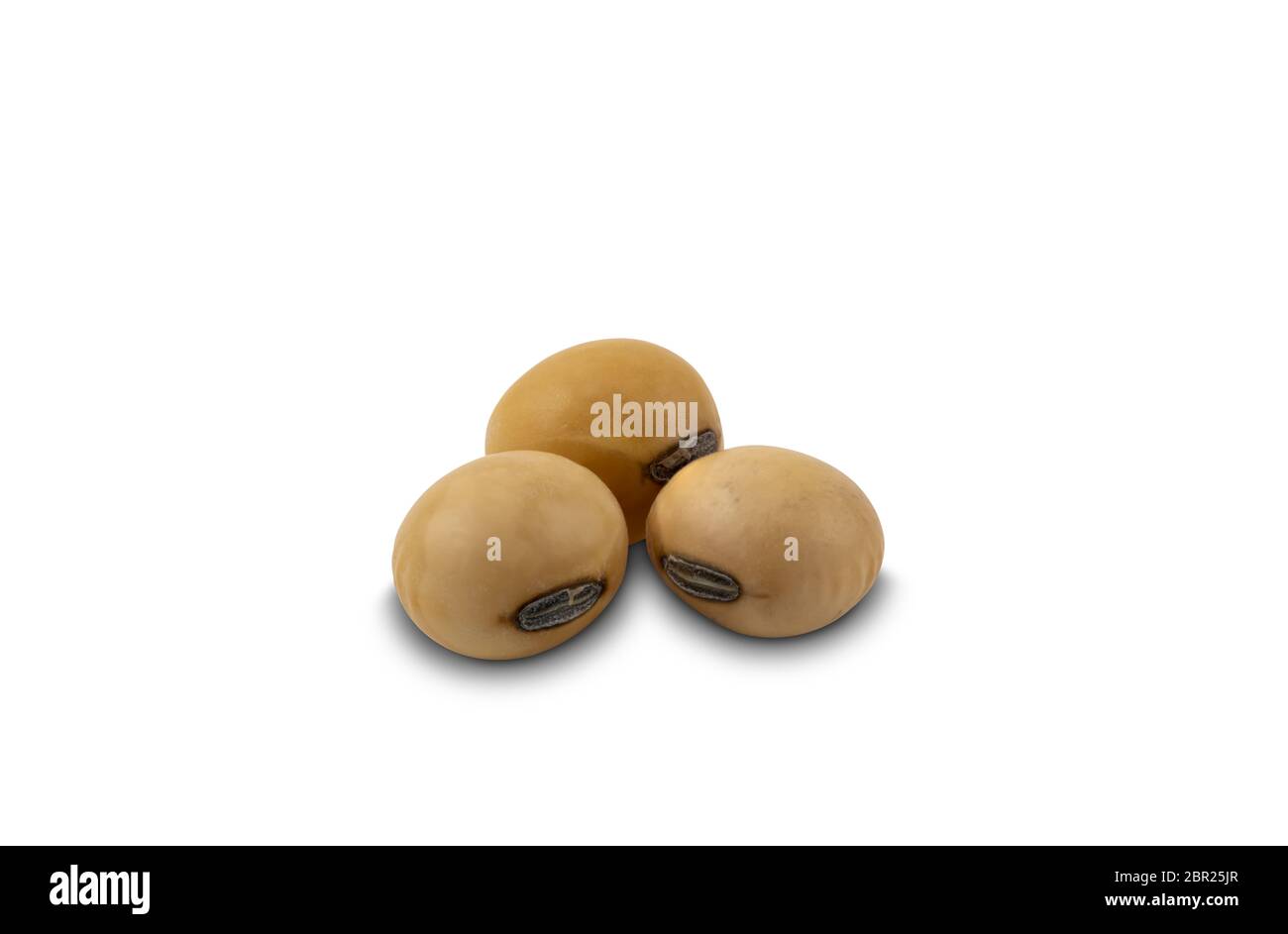 Soy beans on white background with clipping path. Soy bean or Glycine max is a species of legume native to East Asia. Stock Photo