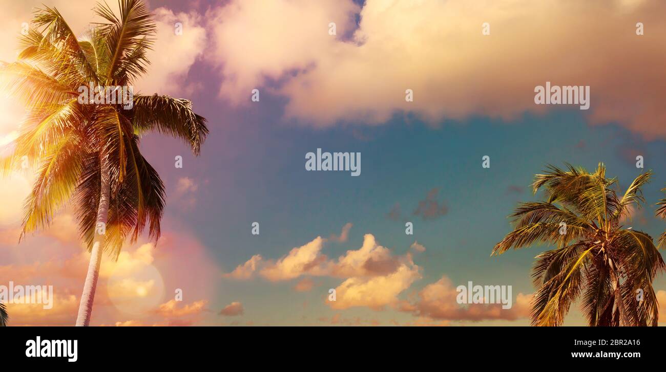 Art Beautiful sunset over the Palm trees tropical beach Stock Photo - Alamy