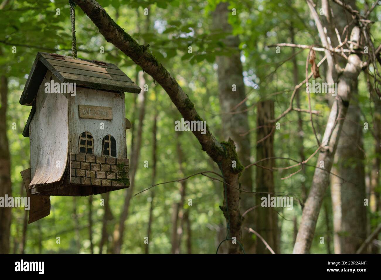 Hand Carved Wooden Forest Green Man Bird House Nesting Box Garden Tree Hanging 