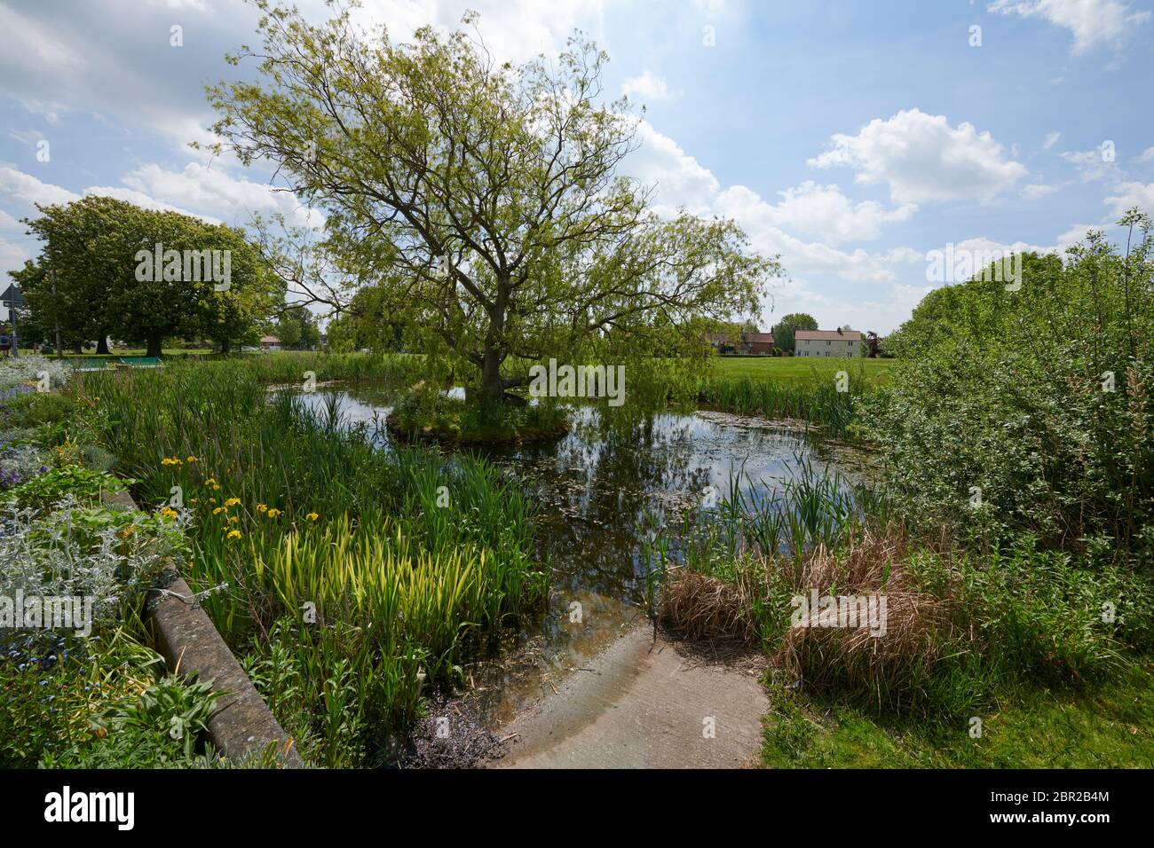 The Village pond and green, Hutton Cranswick in East Yorkshire, UK, GB
