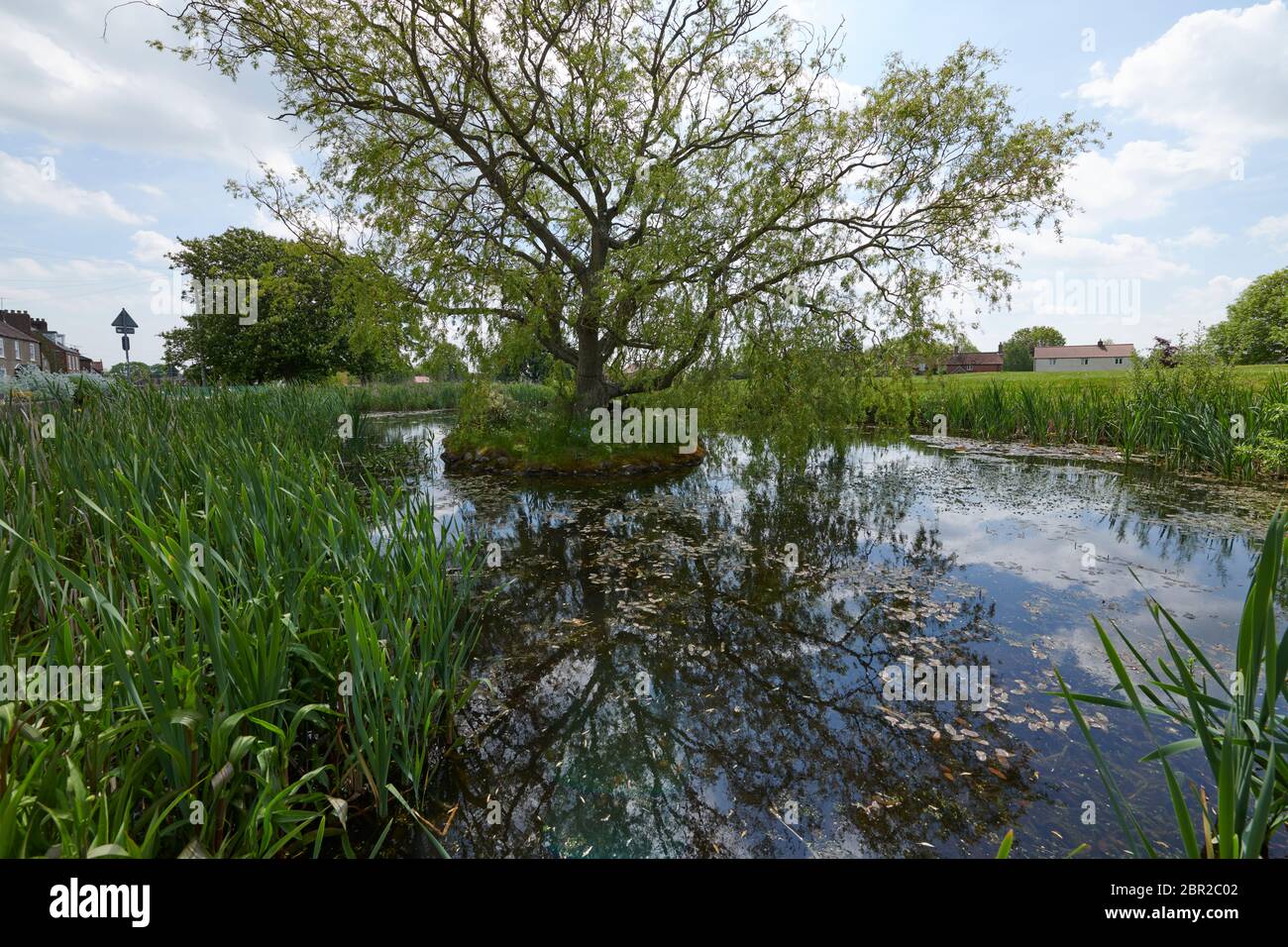 The Village pond and green, Hutton Cranswick in East Yorkshire, UK, GB