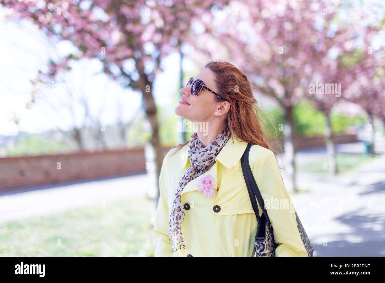 Young redhead woman walking in park during springtime Sakura, Budapest, Hungary Stock Photo