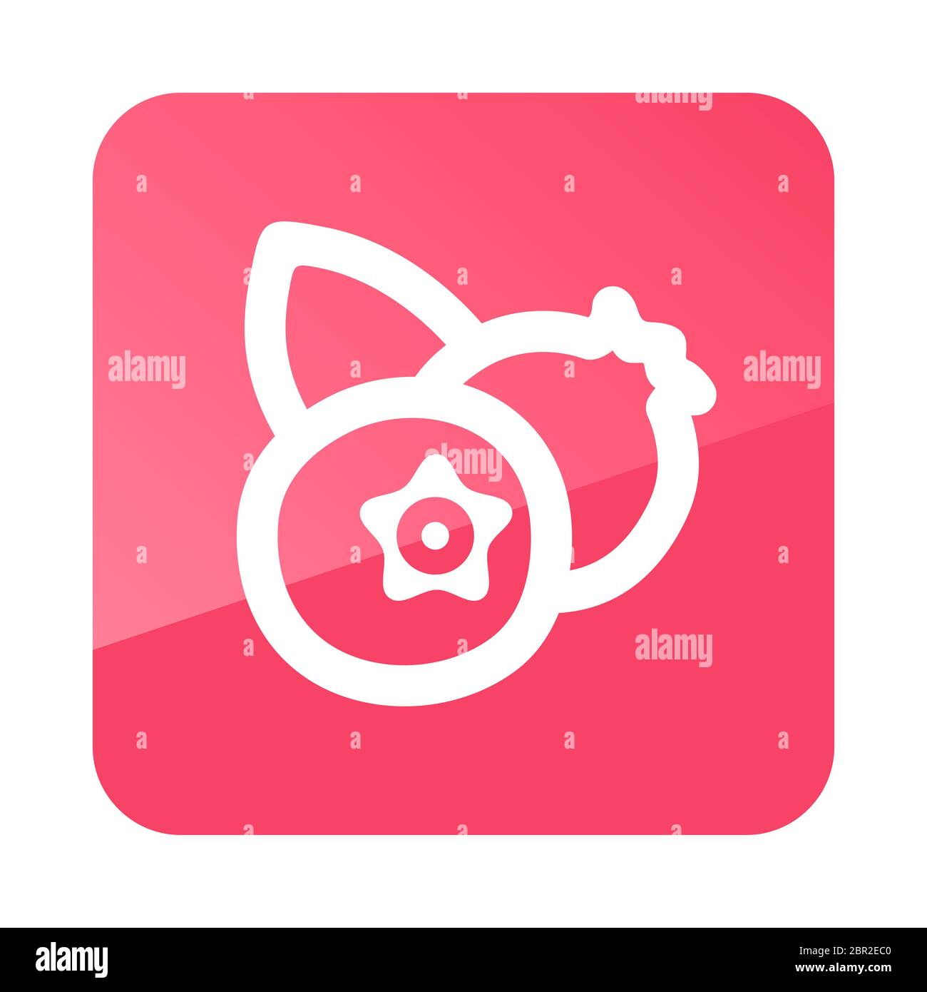 Blueberry icon. Blue berry fruit sign. Vector illustration for food ...