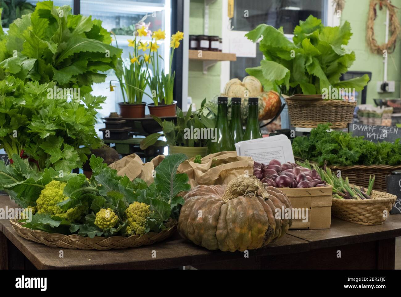 Home-grown fruit and veg produce on sale at the farmshop at Clinks Care Farm at Toft Monks, Norfolk Stock Photo