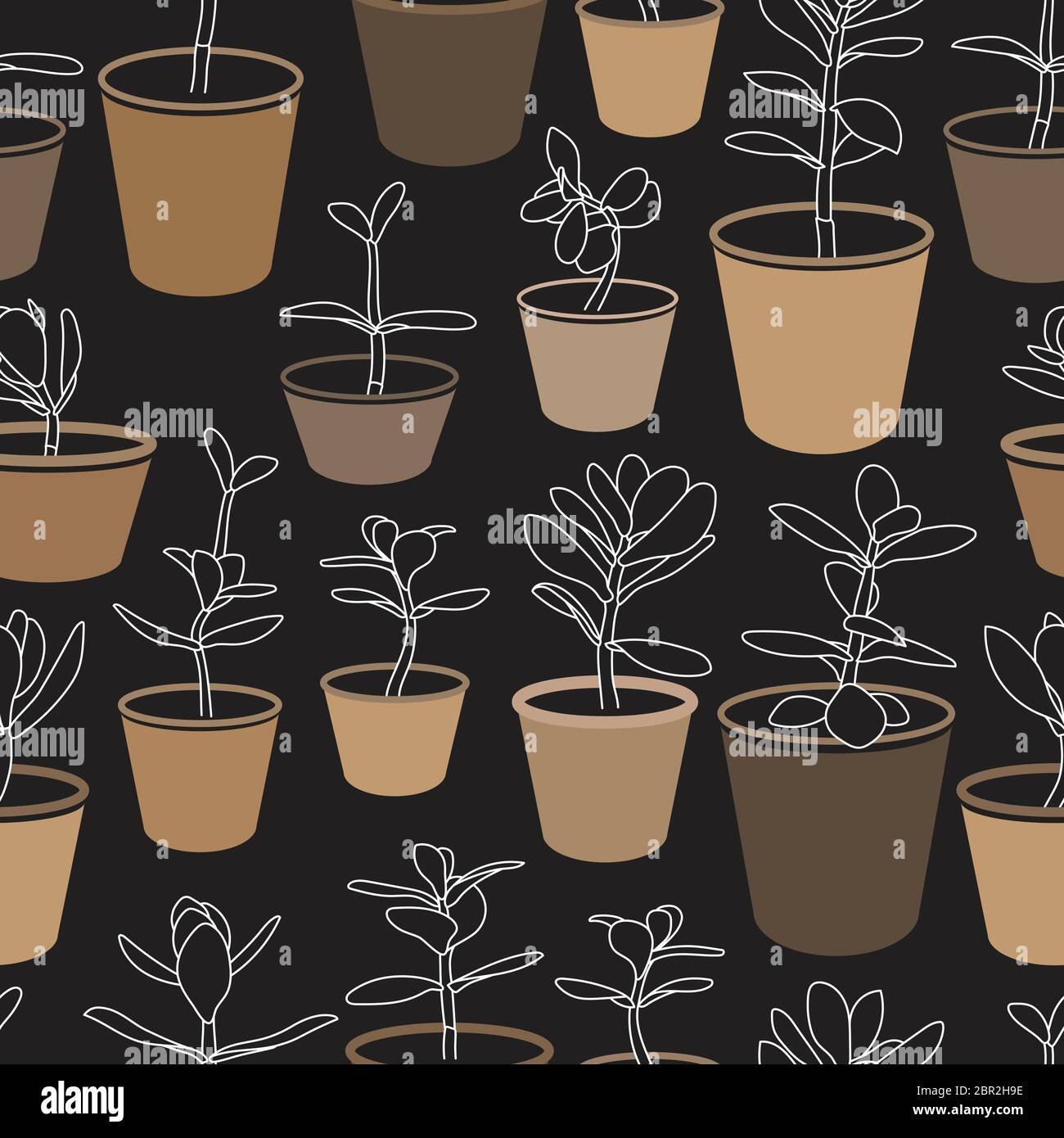Jade Plants in Pots Vector Drawing Seamless Pattern. Money Plant Design Stock Vector