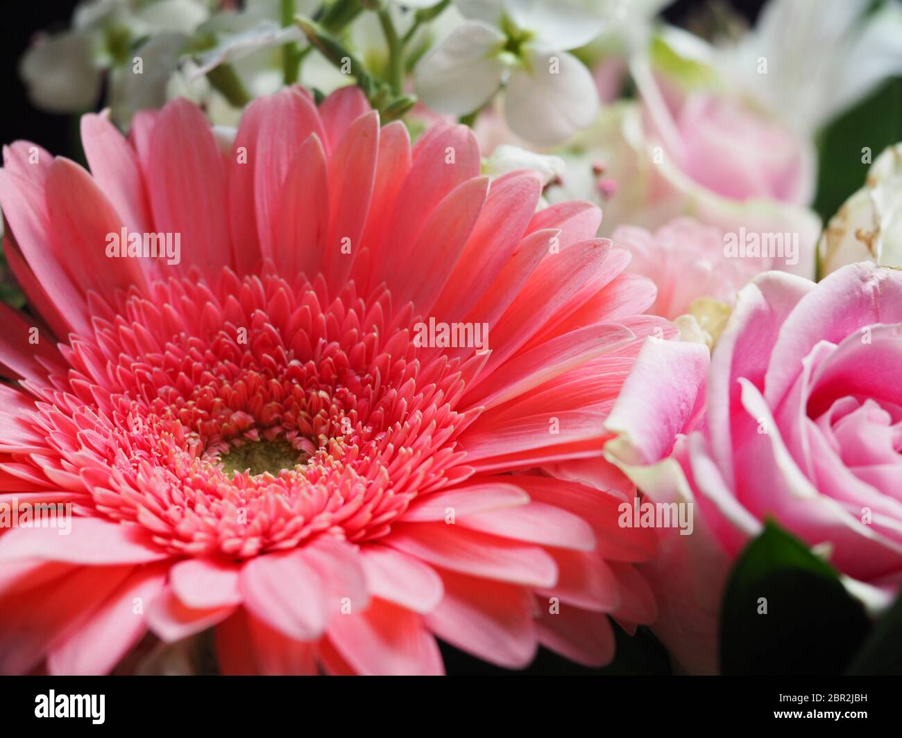 Gerbera Daisy Mixed Bouquet Stock Photo