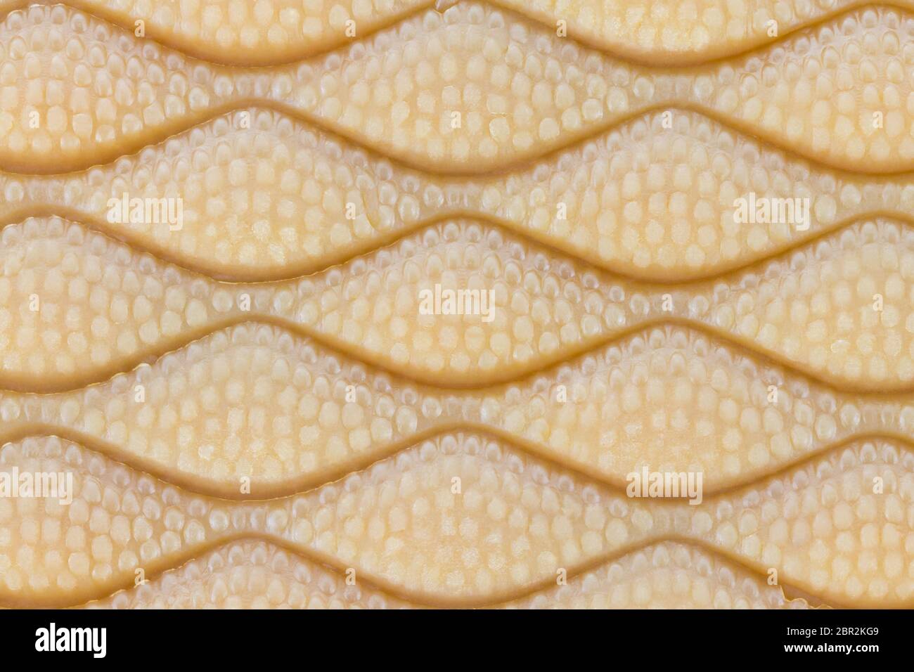 Shoes Outsole Pattern Zoom View. Rubber outsole of shoe texture