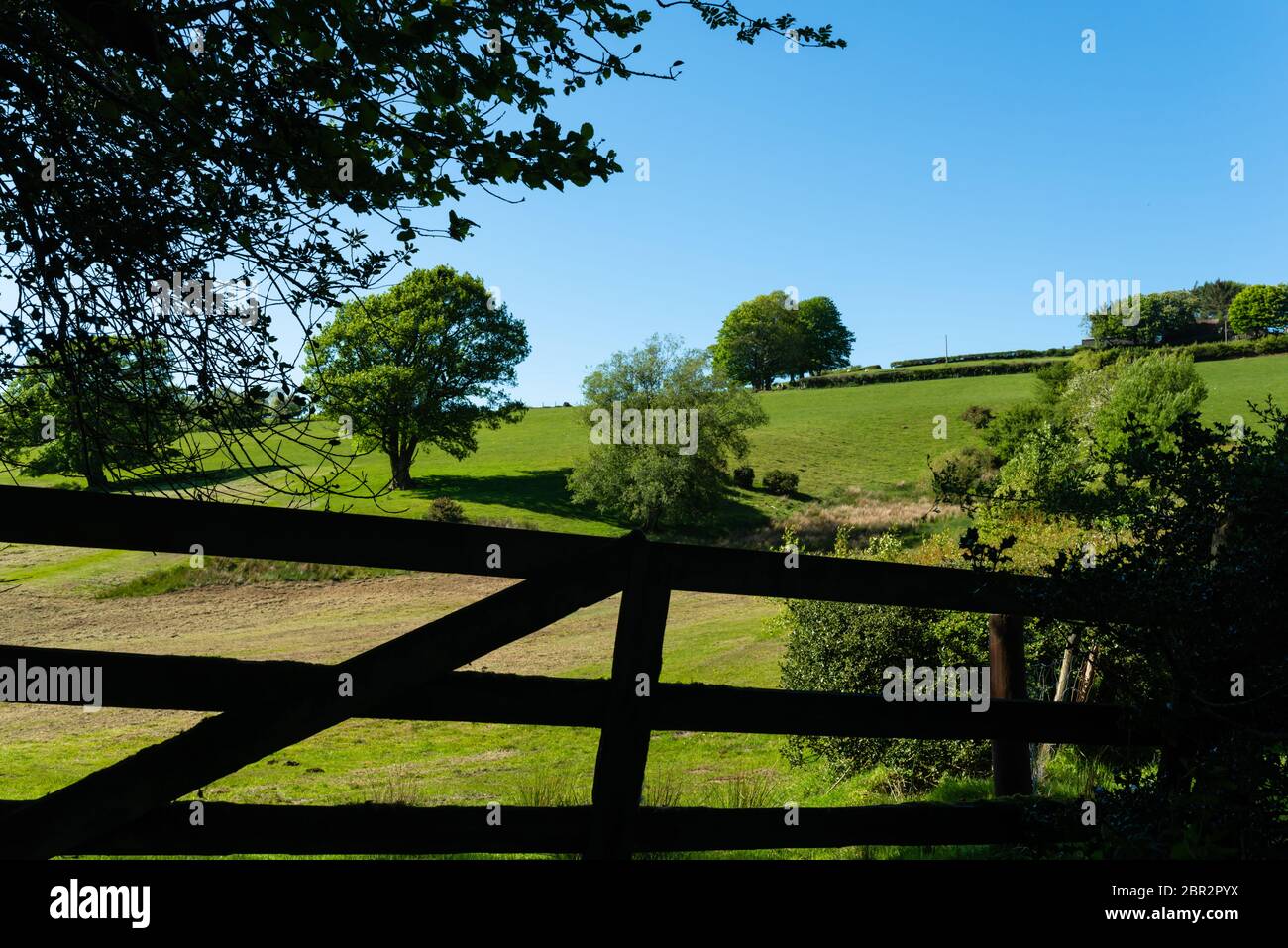 Silhouette of a gate looking into a field with trees Stock Photo