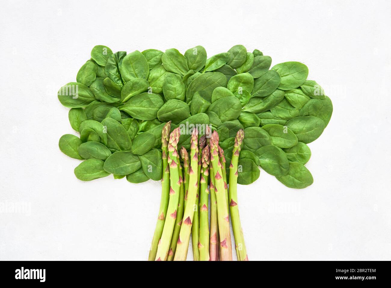 Abstract tree from green spinach leaves and asparagus. Healthy food, dietary and weight lose concept. Top view, copy space Stock Photo