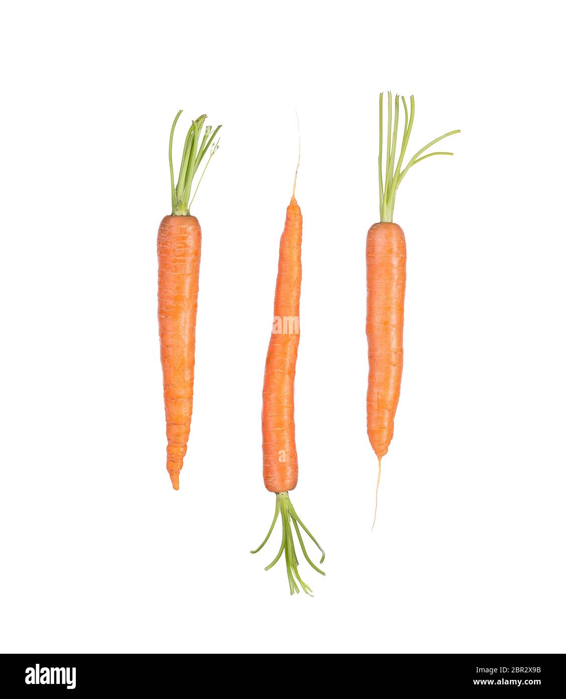 Fresh and juicy natural carrot vegetable full of vitamins, isolate on a white background. Healthy and healthy food, vigatarean. Stock Photo
