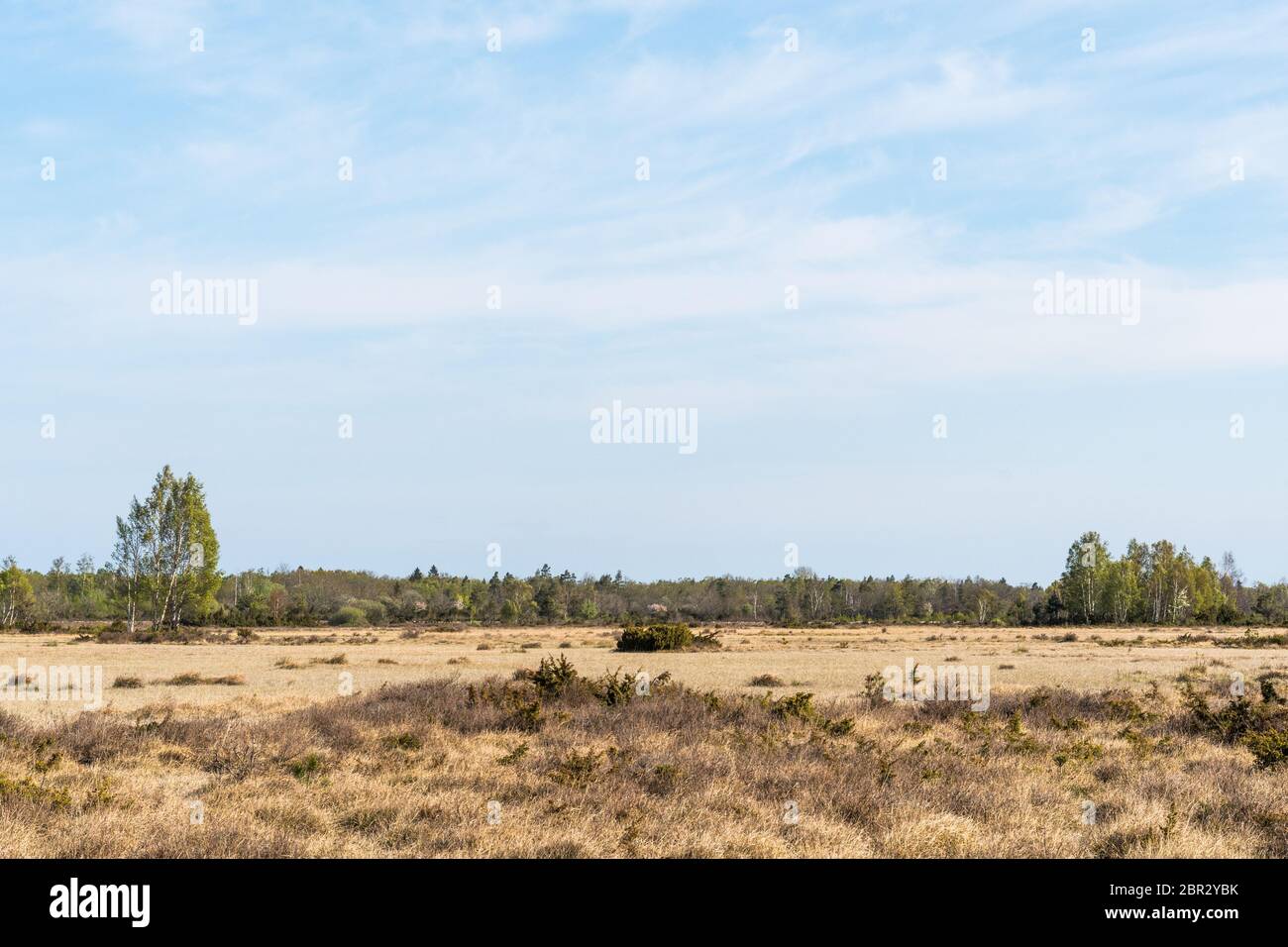 Great plain barren grassland Stora Alvaret on the island Oland in Sweden in spring season Stock Photo