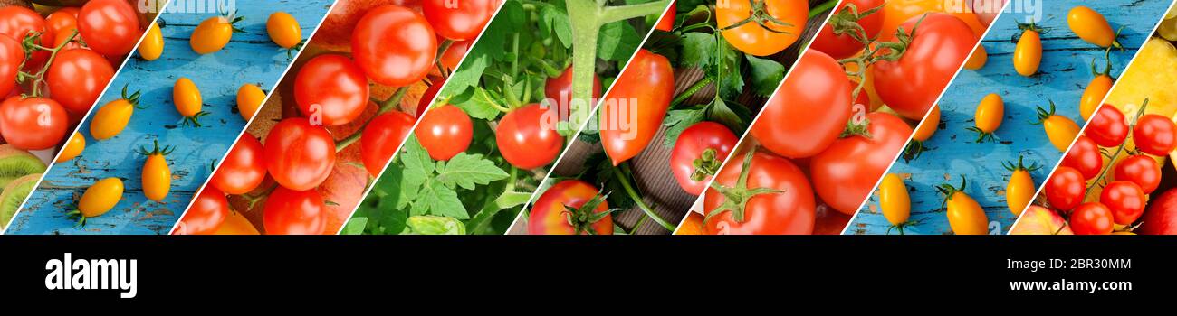 Colorful Tomatoes Background. Fresh Organic Tomato Texture. Panoramic collage. Wide photo . Stock Photo