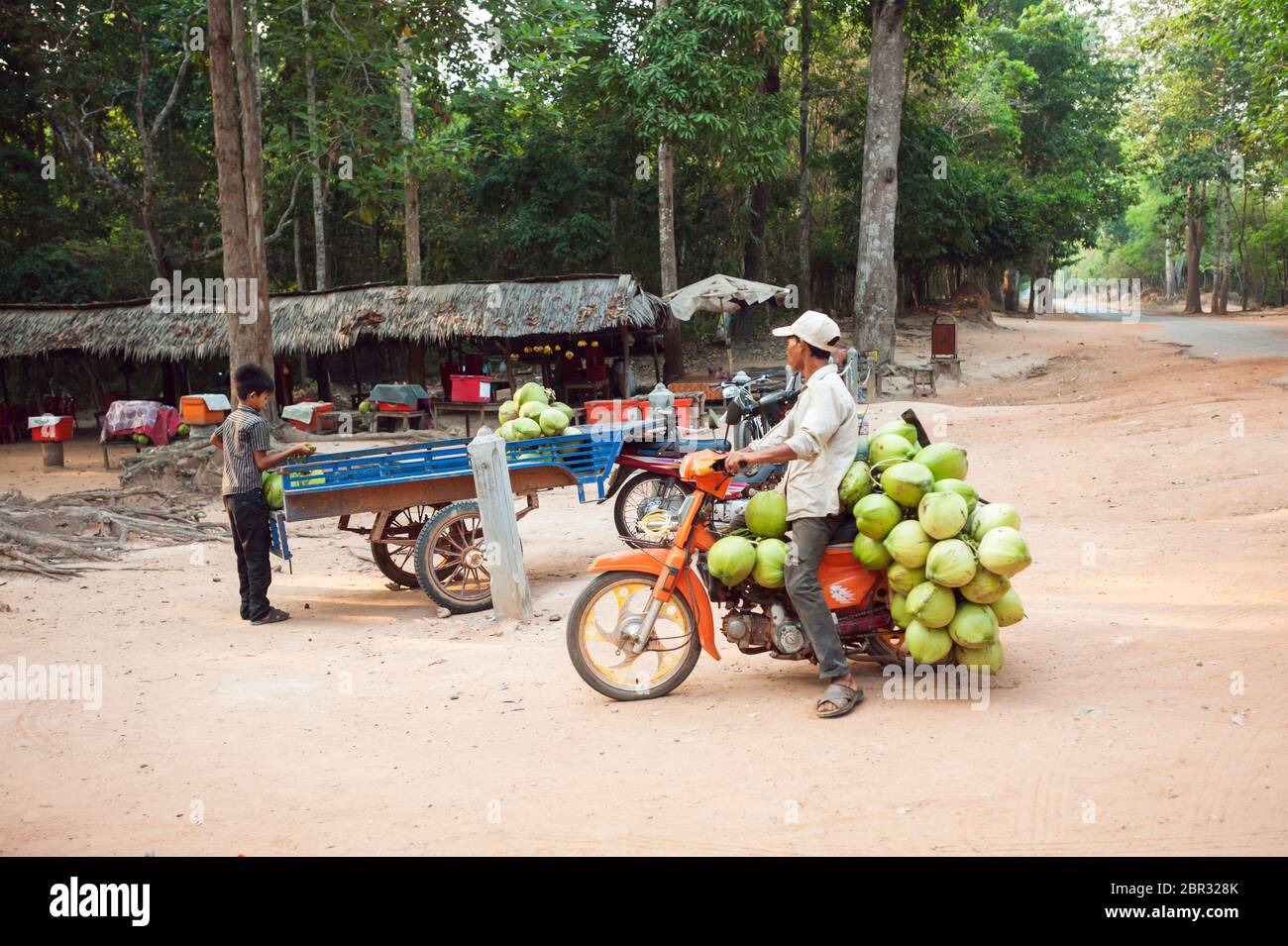 Coconut sellers. Angkor, UNESCO World Heritage Site, Siem Reap Province, Cambodia, Southeast Asia Stock Photo