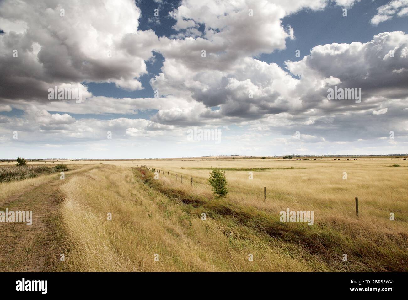 essex countryside farmland taken around a walk in fambridge on a cloudy day Stock Photo