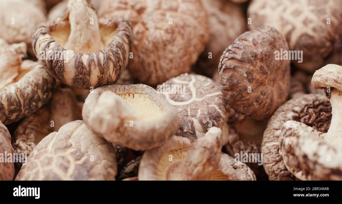 Japanese Dry mushroom Stock Photo Alamy