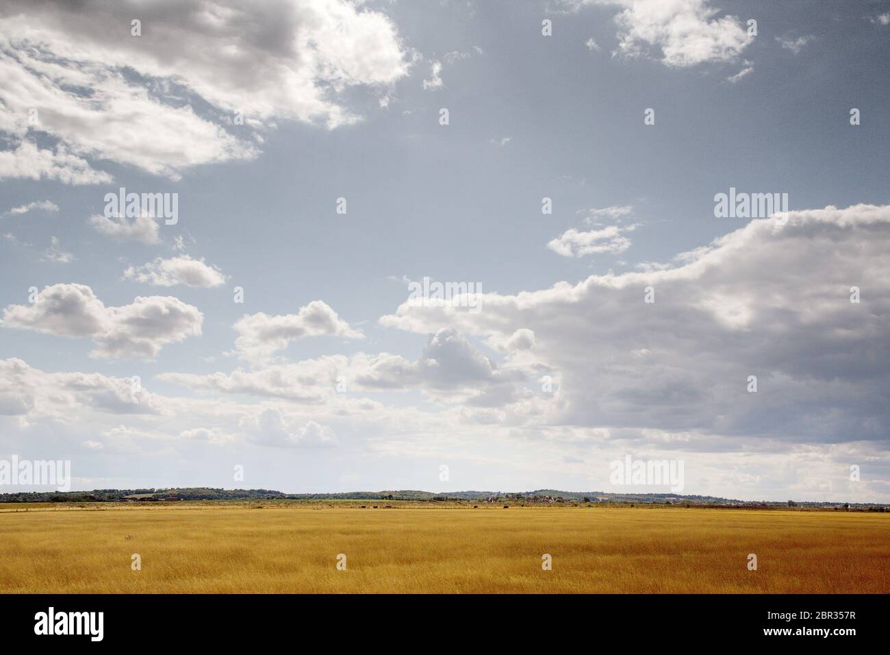 essex countryside farmland taken around a walk in fambridge on a cloudy day Stock Photo