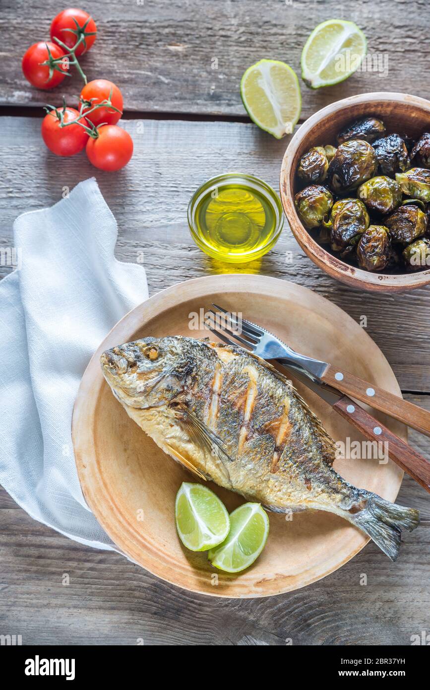 Dorade Royale Fish Stock Photo - Alamy