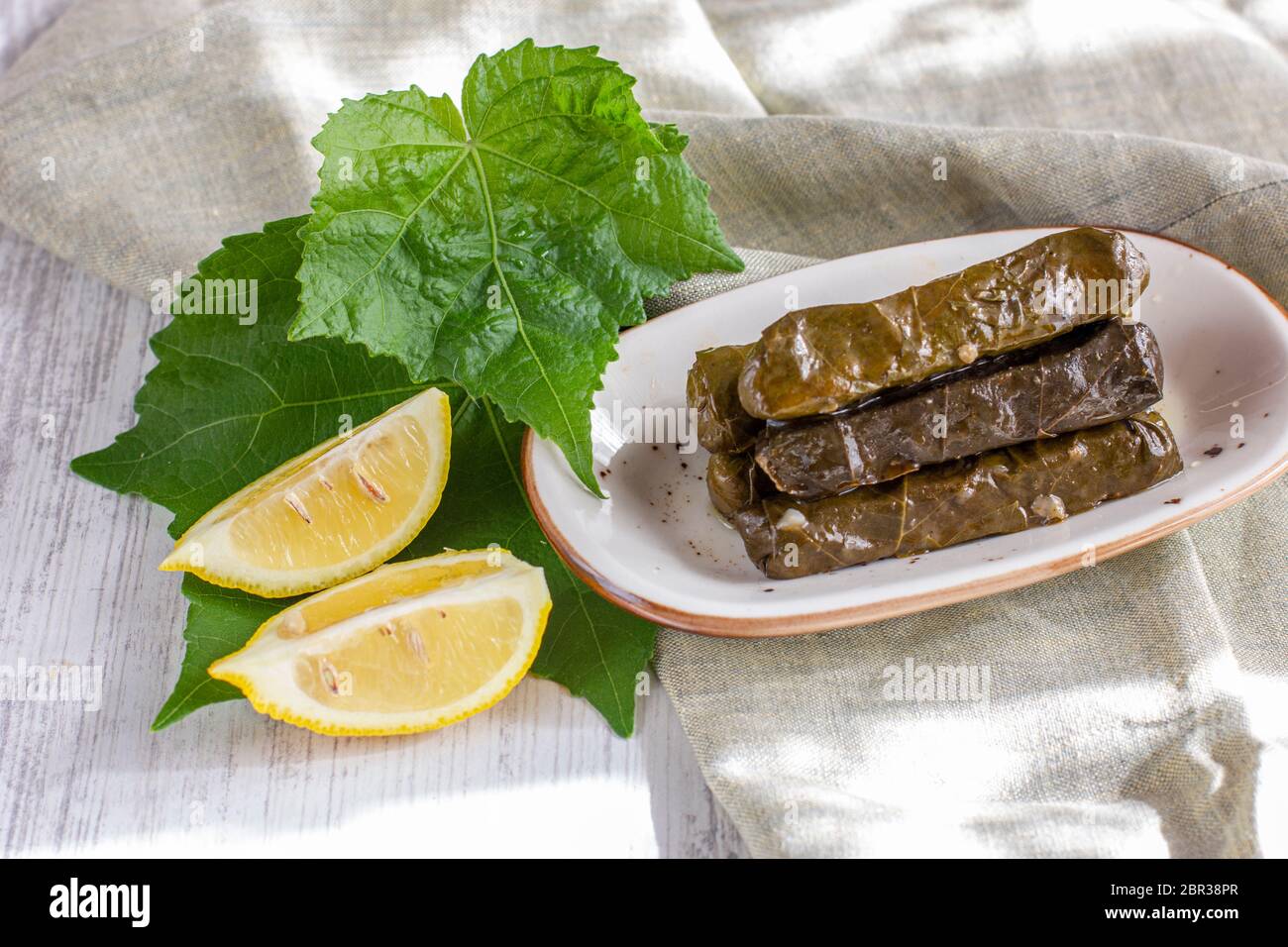 Traditional turkish meal Yaprak dolma. Grape leaves stuffed with rice