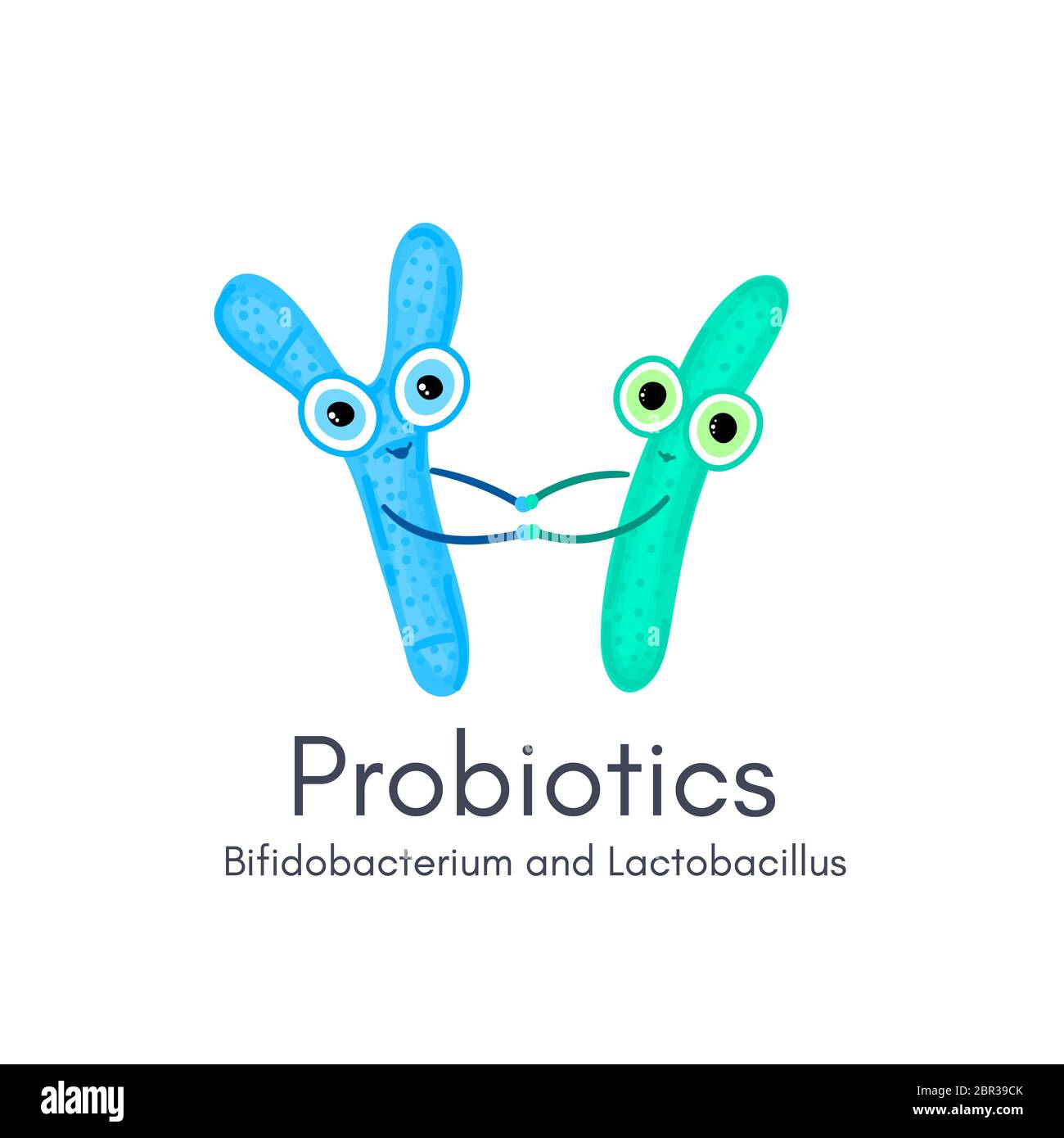 Probiotics. Lactic acid bacterium. Bifidobacterium, lactobacillus