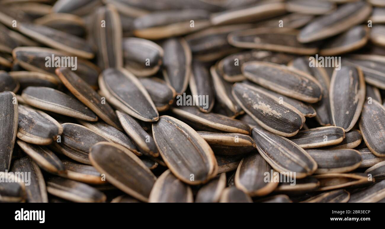 Movement pile black sunflower seeds hi-res stock photography and images ...