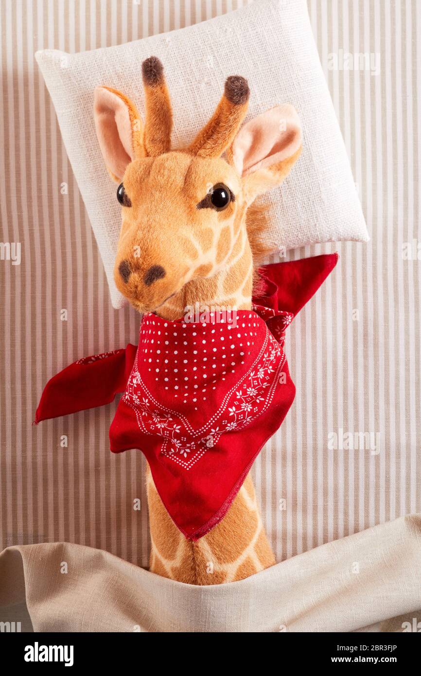 Cute sick toy giraffe with bright red bandanna tied around its neck lying sick in bed in a close up view in a concept of paediatric medicine for kids Stock Photo