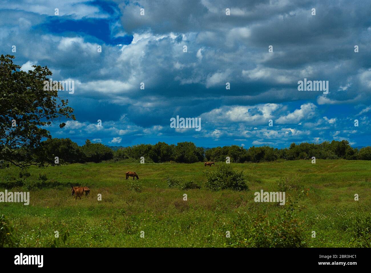 Puerto Rico scenic Stock Photo - Alamy