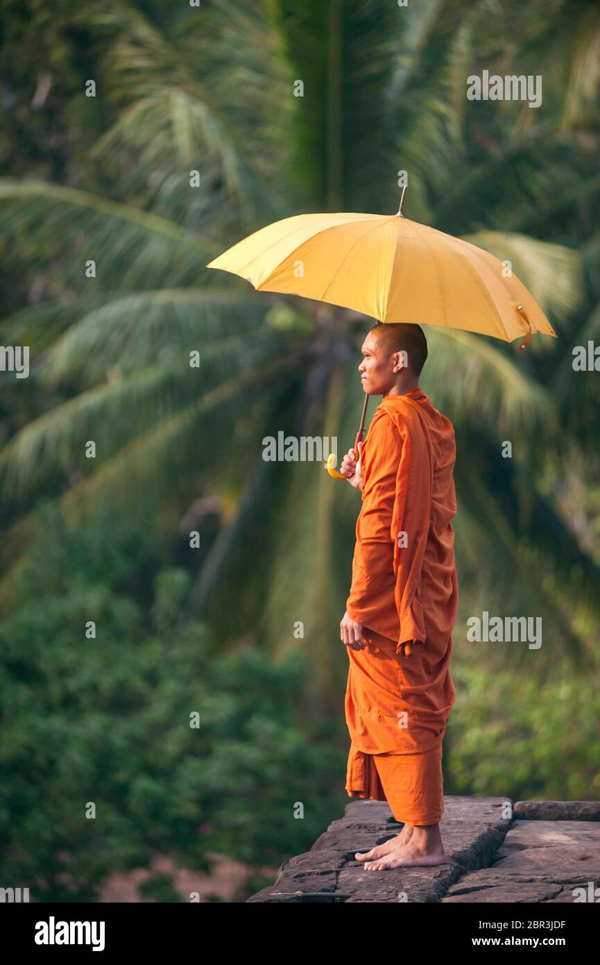 A Monk stands with umbrella in front of palm trees. Roluos Temples. Angkor, UNESCO World Heritage Site, Siem Reap Province, Cambodia, Southeast Asia Stock Photo