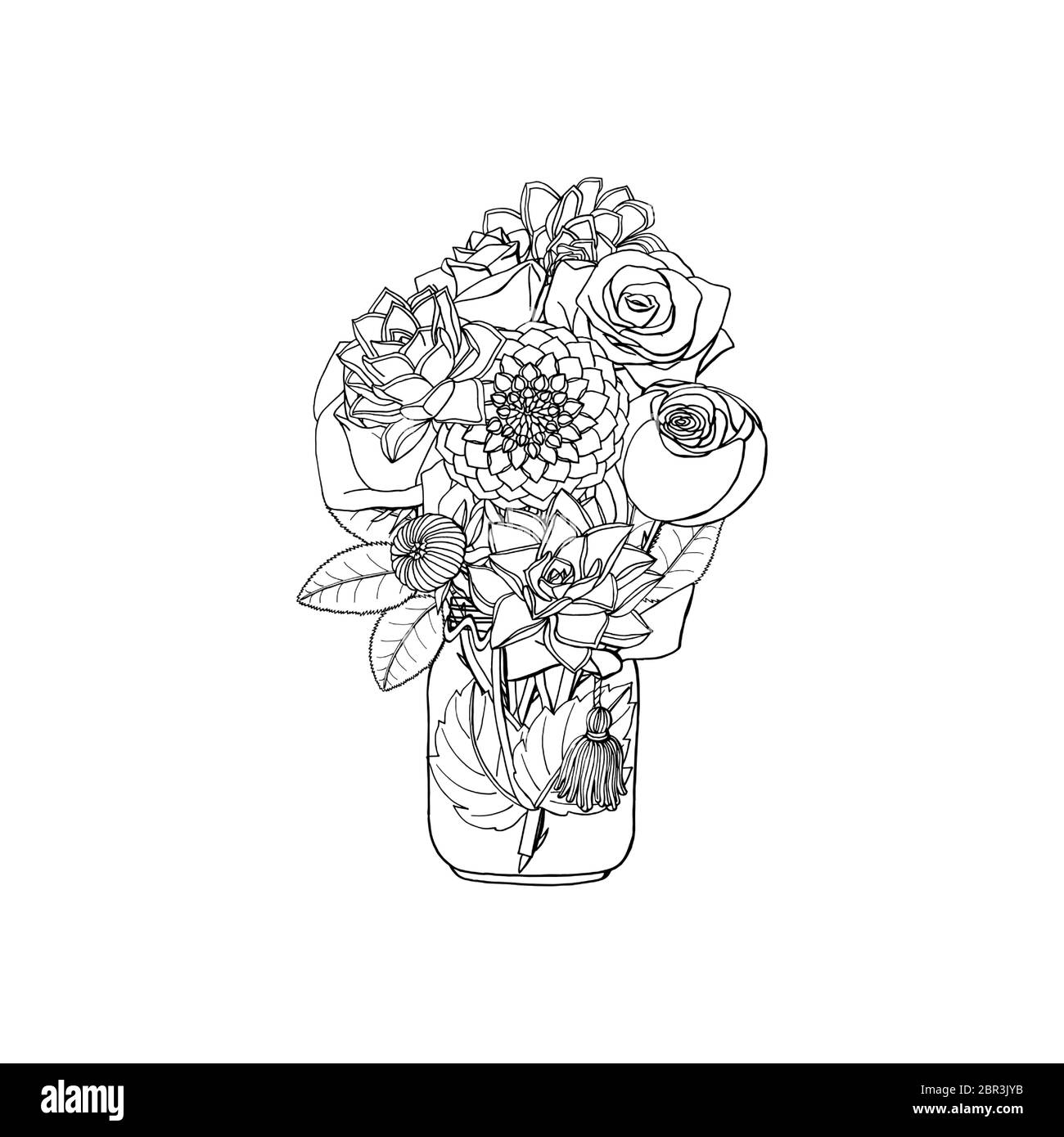 Dahlia Stock Vector Images Alamy