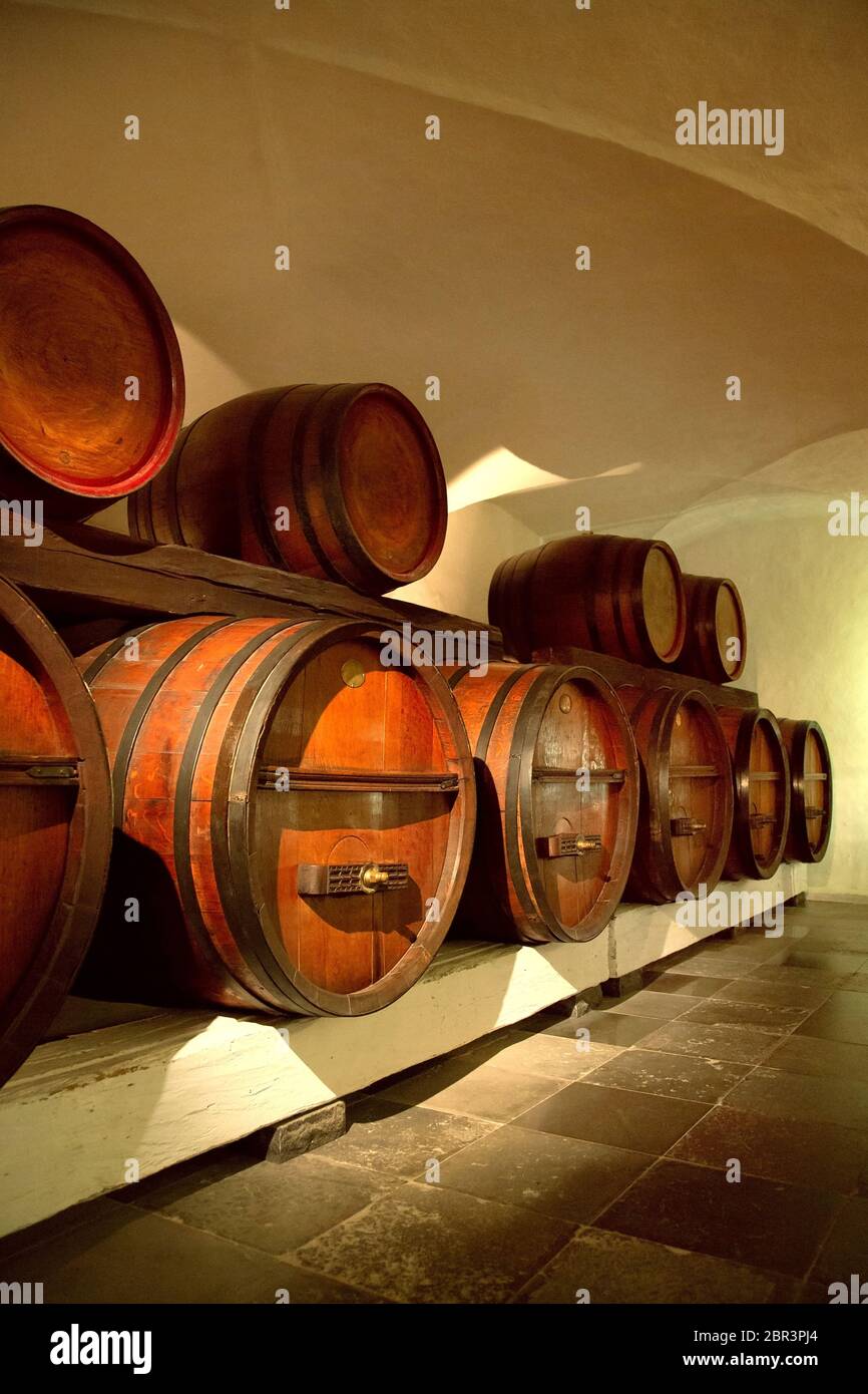 Wine barrels for storage in traditional cellar. Wine barrels in cellar