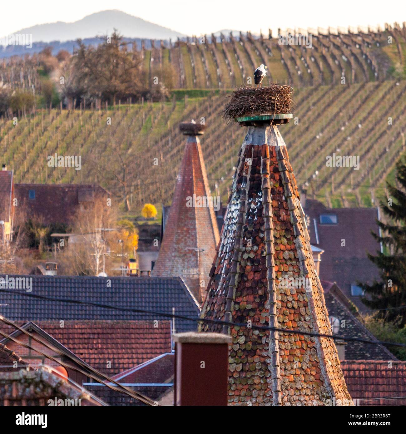 Storks Store Church towers composite hi-res stock photography and images - Alamy