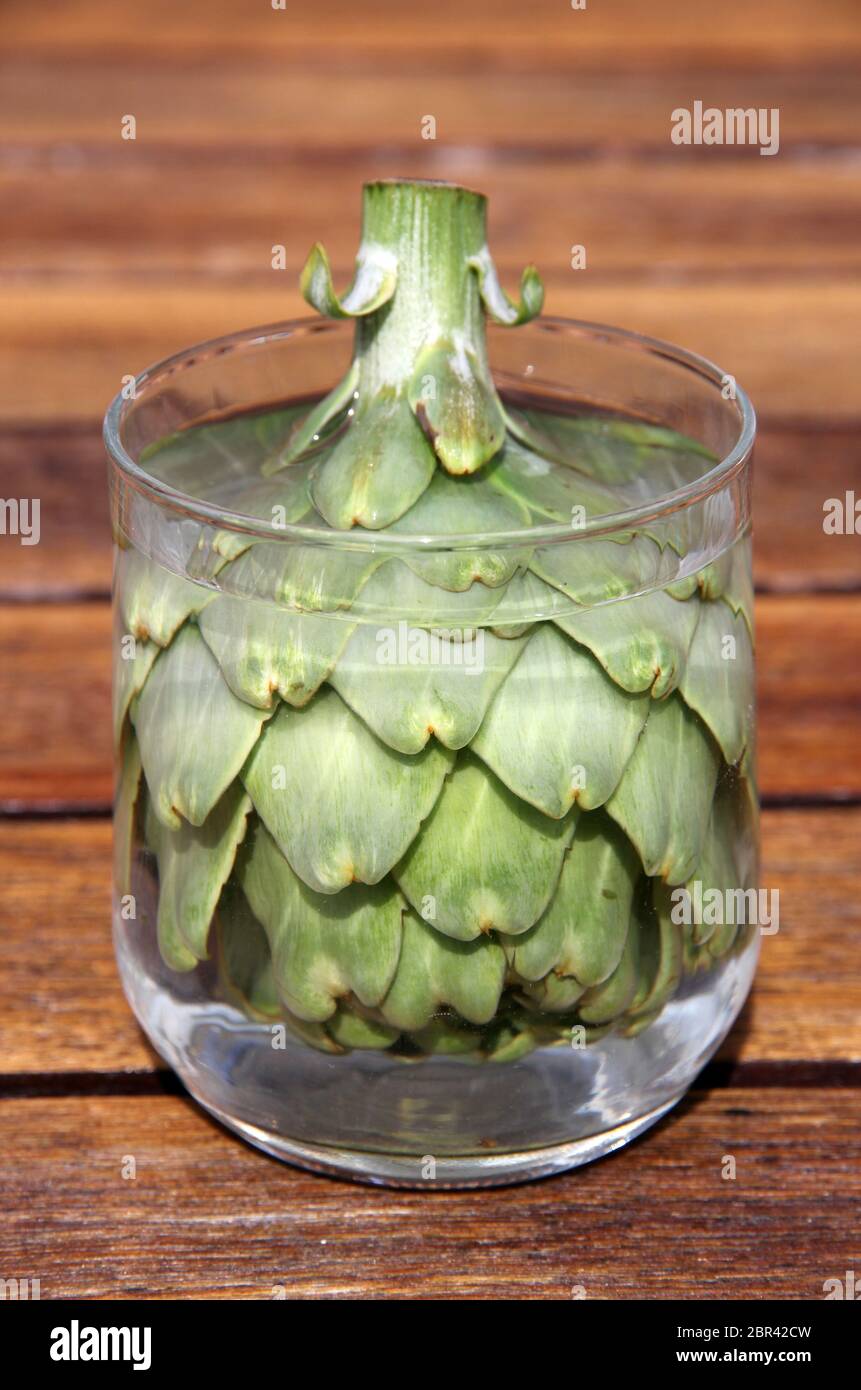 soaking artichoke heart Stock Photo