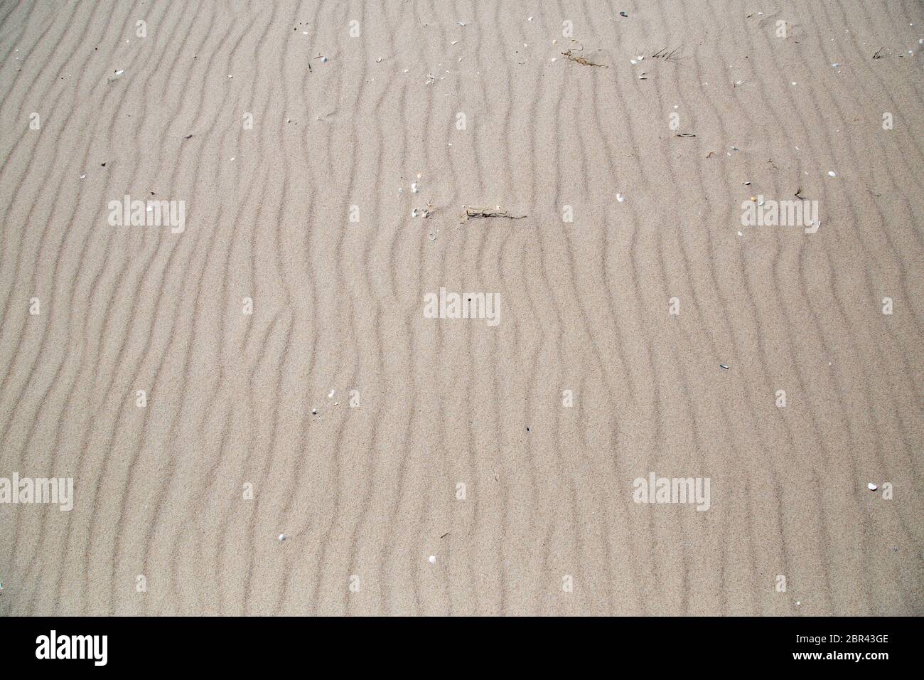 The beach of Zempin without footprints with fine, wind-generated grooves in the fine sandy beach. Stock Photo